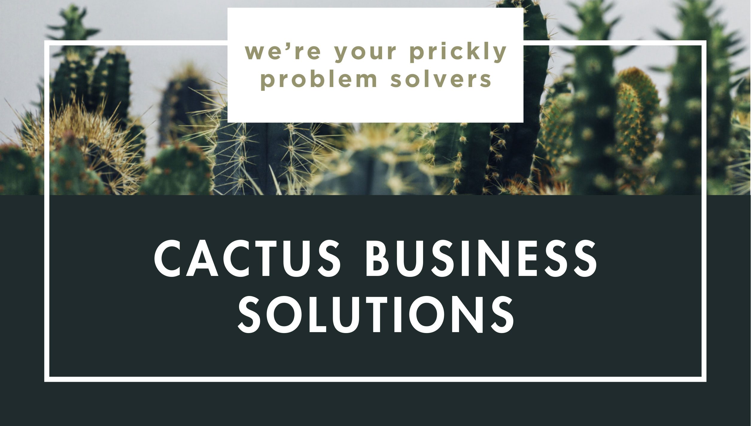 Cactus-Business-Card---Front A variety of cacti appear in the background with text overlay: "we’re your prickly problem solvers" and "Cactus Business Solutions" in bold white letters.